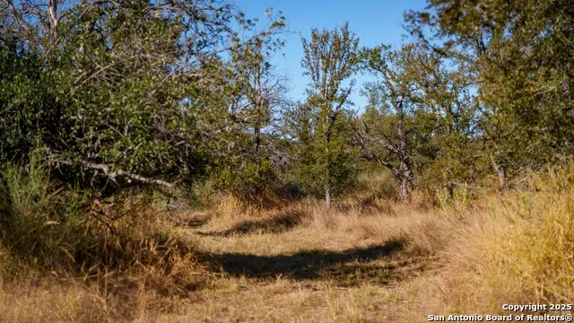 7702 ranch road 965 Llano, TX 78643